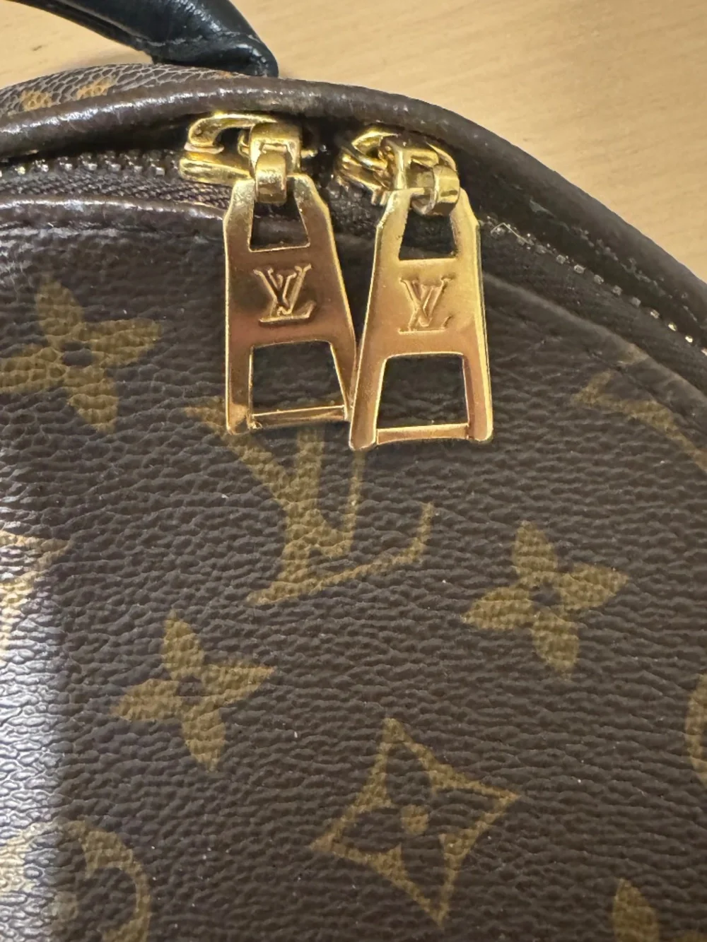 Louis Vuitton Palm Springs Backpack Reverse Monogram Canvas PM